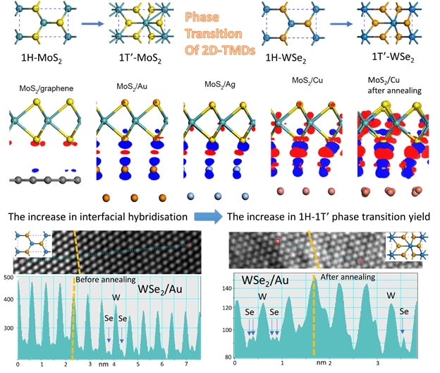 Phase transition dynamics in two-dimensional (2D) materials