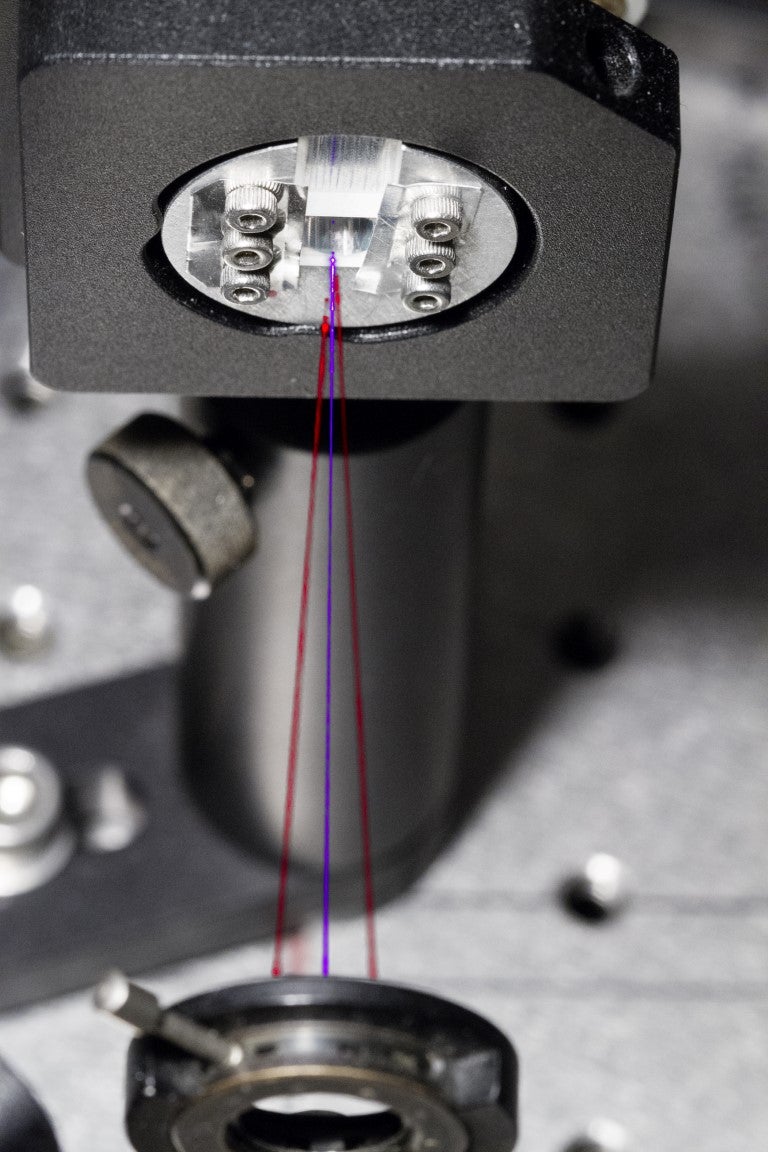 Ale entangled photons