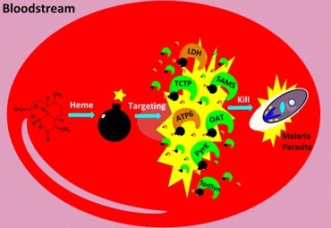 Haem-activated promiscuous targeting of artemisinin in Plasmodium  falciparum