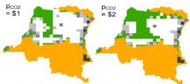 Agricultural Intensification Escalates Future Conservation Costs
