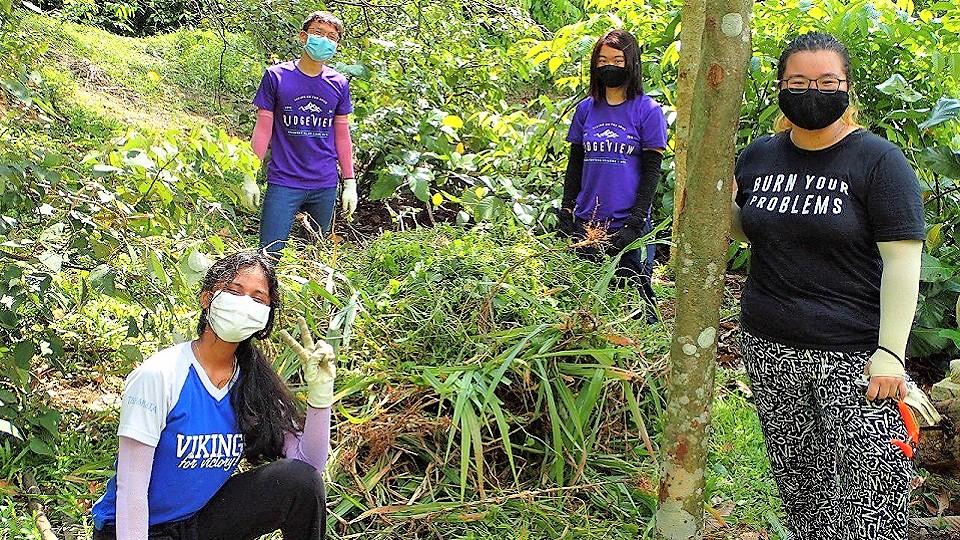 Partnering the community in reforestation efforts - NUS Faculty of ...