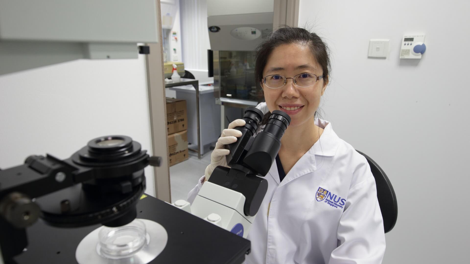 Asst Prof Xue and her team in NUS study the effects of maternal SMCHD1 gene mutations on offspring.