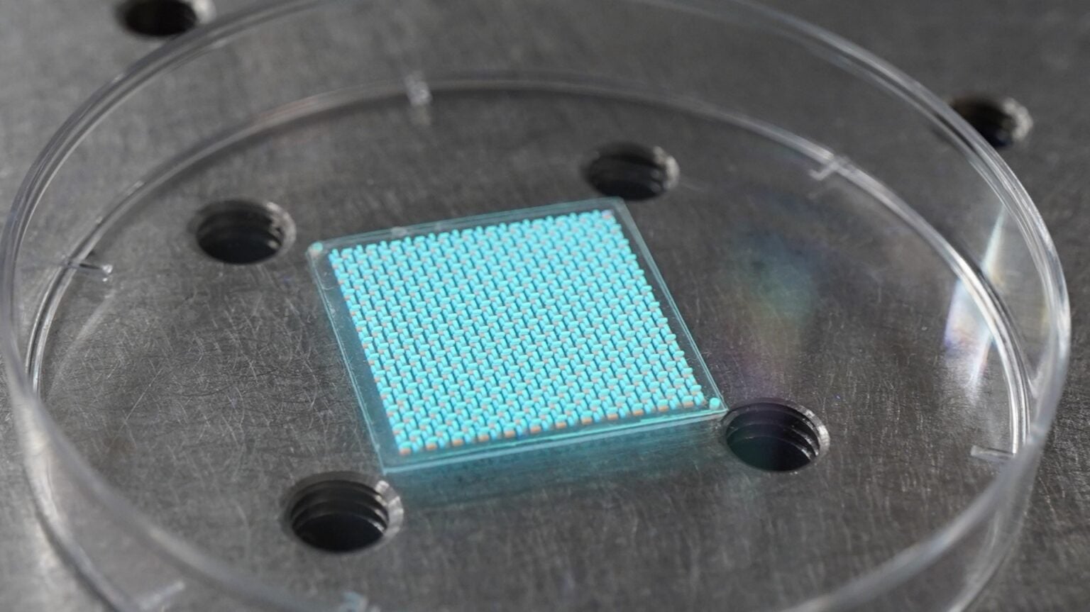 NUS scientists develop a novel light-field sensor for 3D scene ...