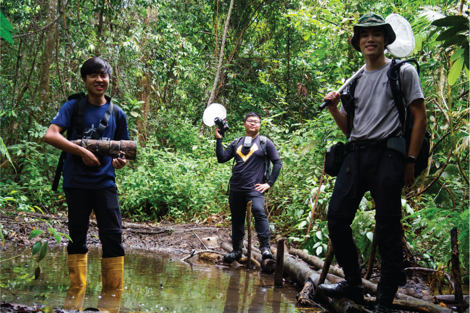 IvanNeo-Research Assistants