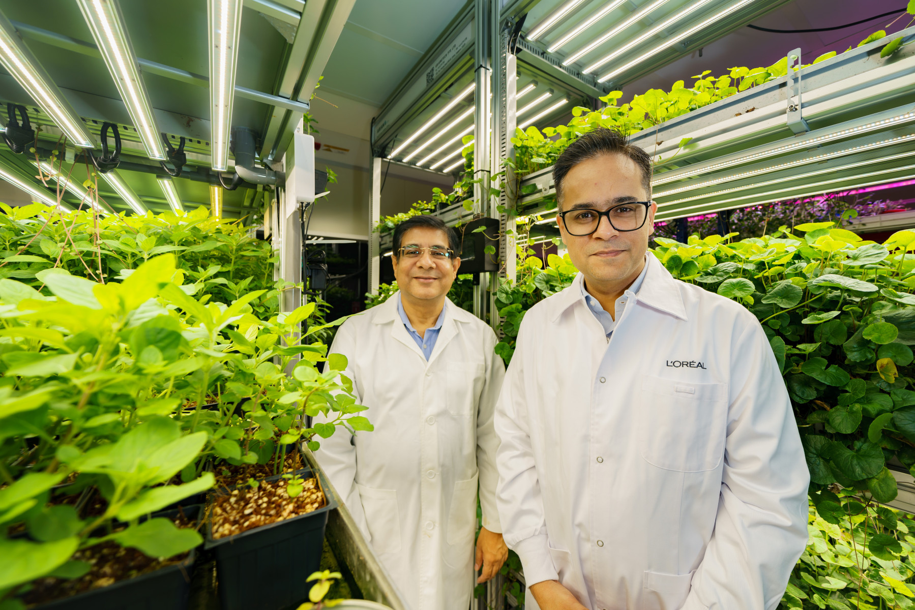 The joint research initiative between NERI and L'Oréal Singapore aims to find new ways to improve soil health and increase plant yield without needing more land or relying on chemical fertilisers. (Photo: L’Oréal Singapore)