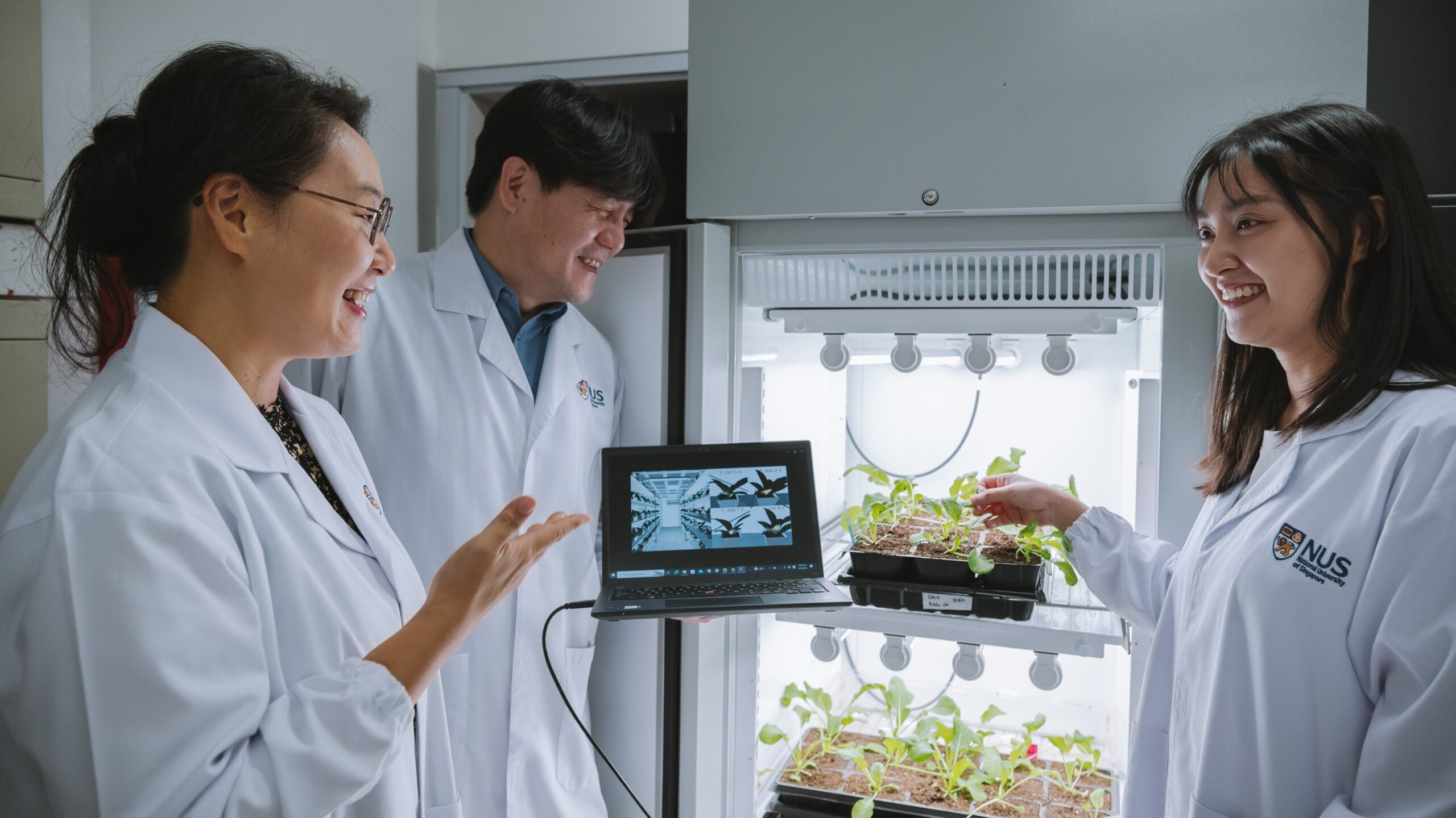 Data collected from sensors on the plant e-skin is used to create a digital twin which comprises a suite of computer visualisations that mirror the physical conditions of the real plant.