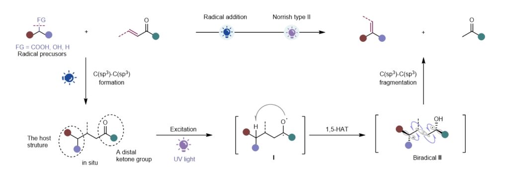 Light broaden the scope of alkene synthesis - NUS Faculty of Science ...