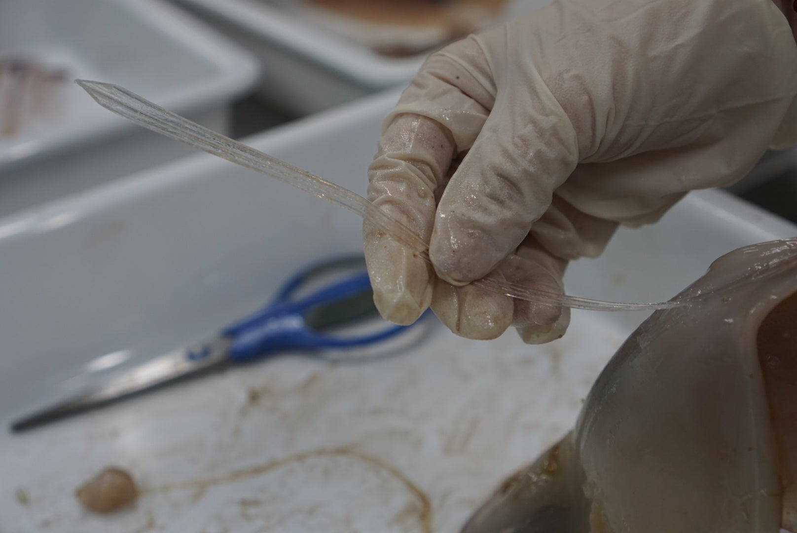 20250611_022200000_iOS