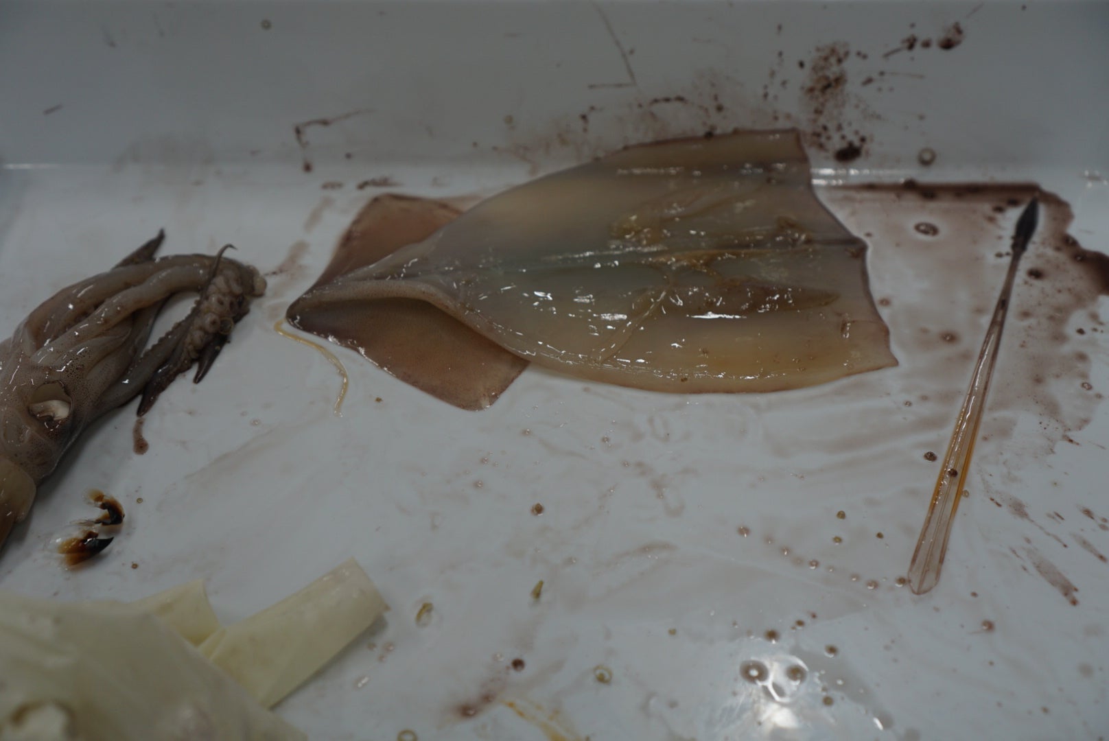 20250611_022237000_iOS