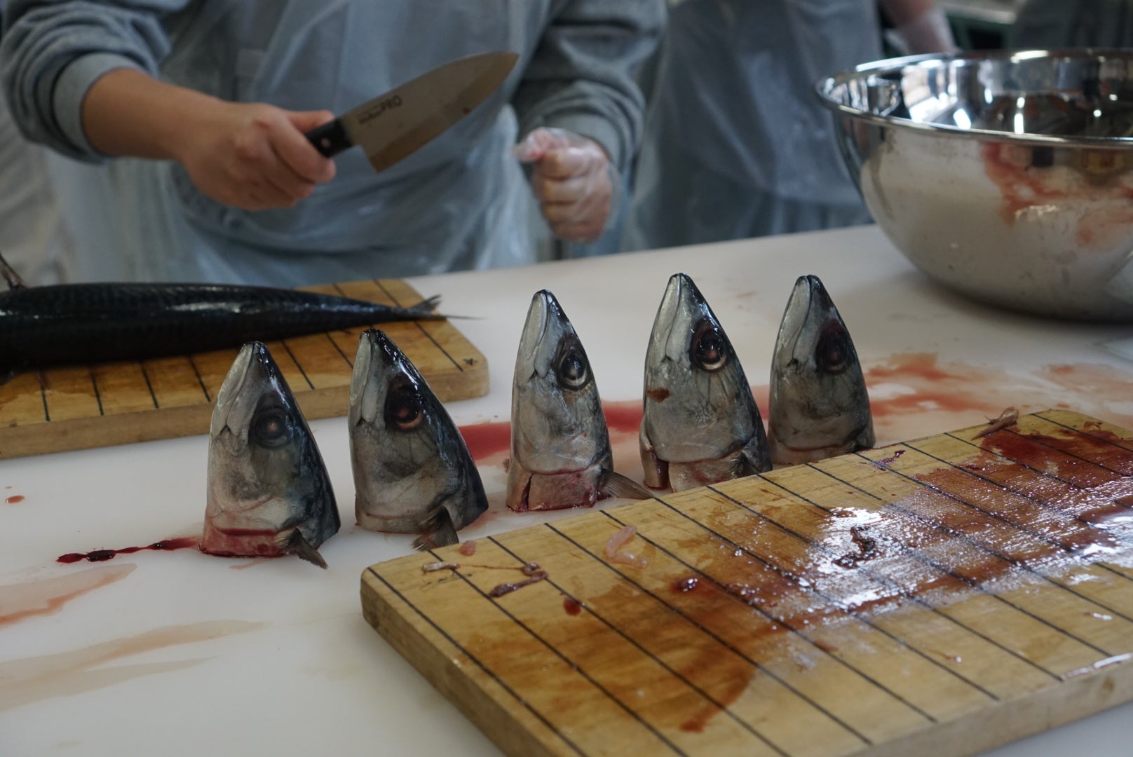 20250611_035121000_iOS