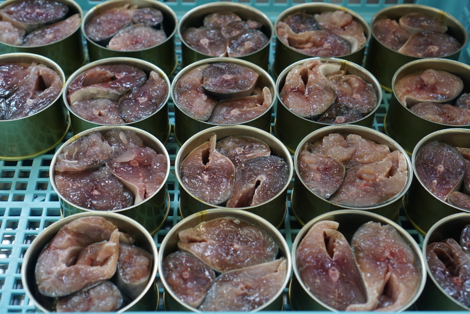 20250611_041531000_iOS