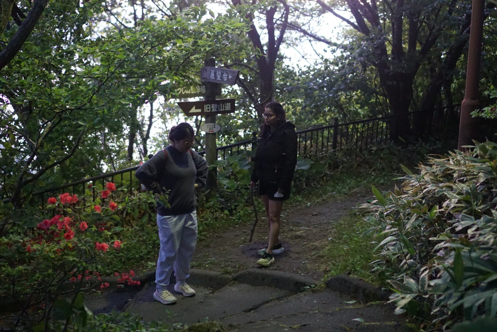 20250612_102239000_iOS