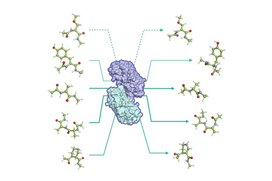 Enzymatic kinetics in a ultra-high-throughput format