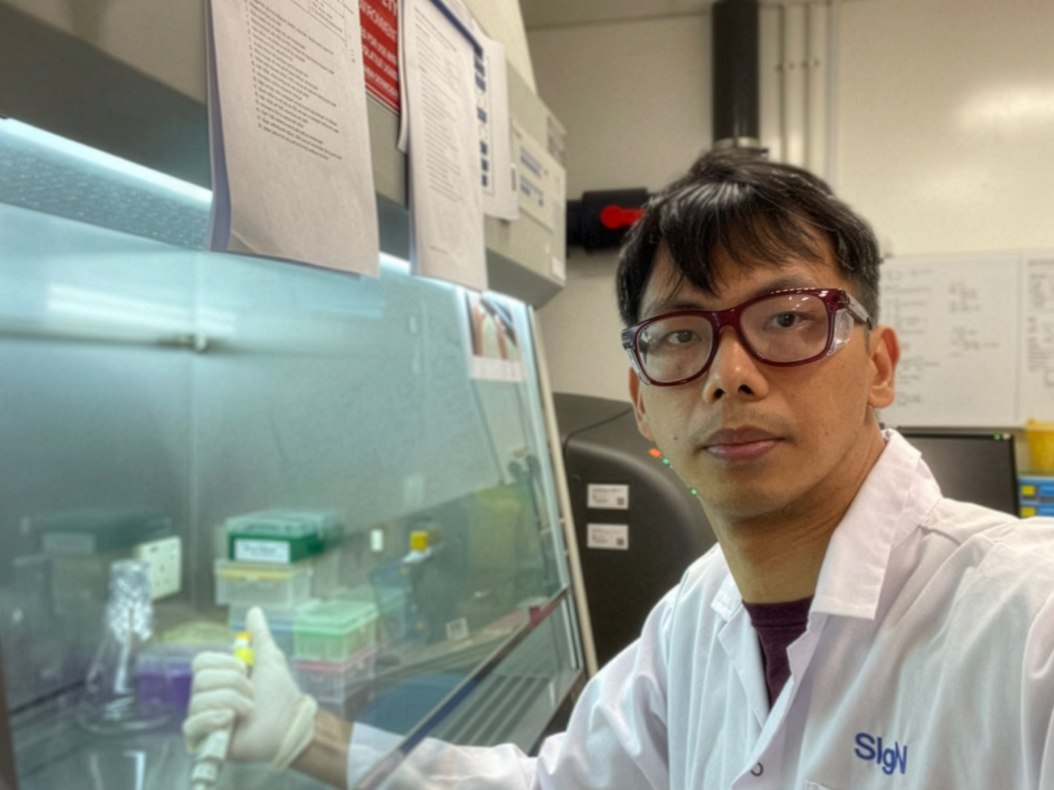 Making cancer visible - and more treatable - NUS Faculty of Science ...