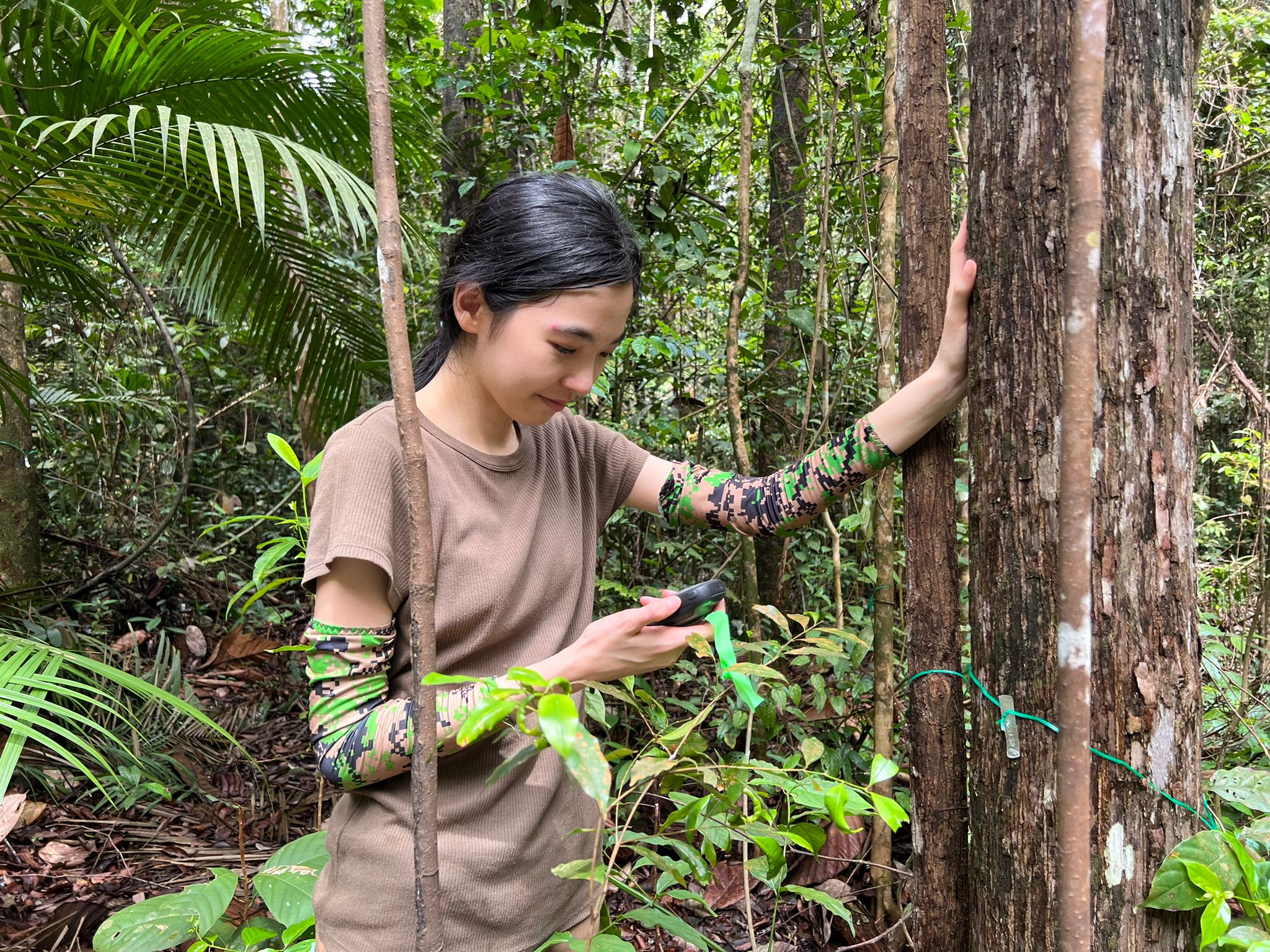 New opportunities to protect forests
