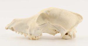 Photo credit: Tan Heok Hui, 2018